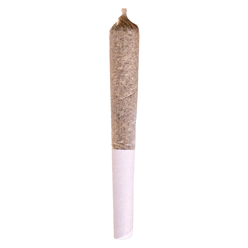 Potluck 0.5 g Mango Dream PR 1 x 0.5 g Pre-Rolls