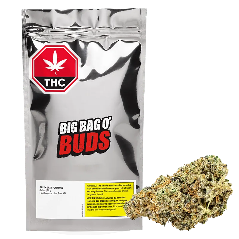 Big Bag O' Buds 28 g East Coast Flamingo Flower