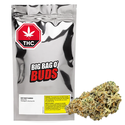 Big Bag O' Buds 28 g East Coast Flamingo Flower