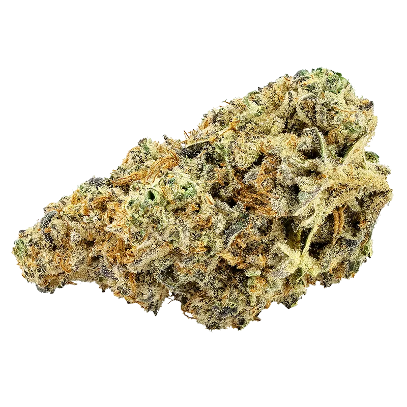 Big Bag O' Buds 28 g East Coast Flamingo Flower