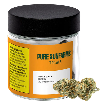 Pure Sunfarms 14 g Trial No. 016 Lto Flower