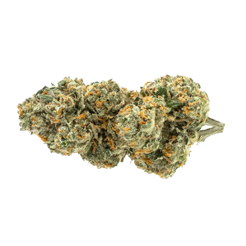 Pure Sunfarms 14 g Trial No. 016 Lto Flower