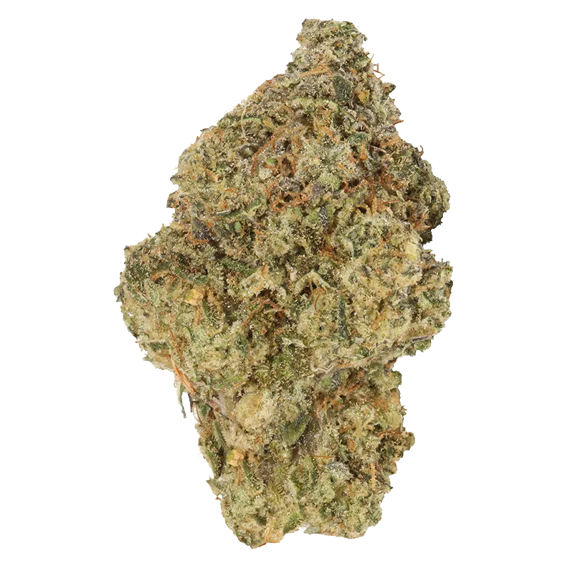 Carmel 3.5 g Bubble Pop Cake Flower
