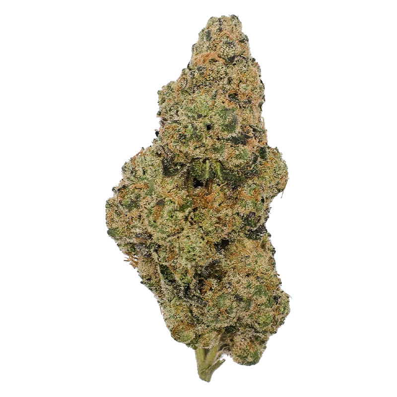 Pistol and Paris 7 g London Zoap Flower