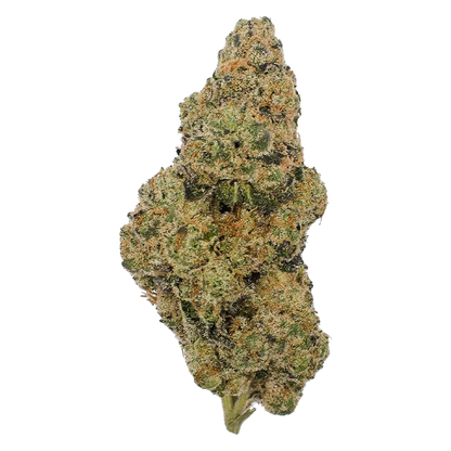Pistol and Paris 7 g London Zoap Flower