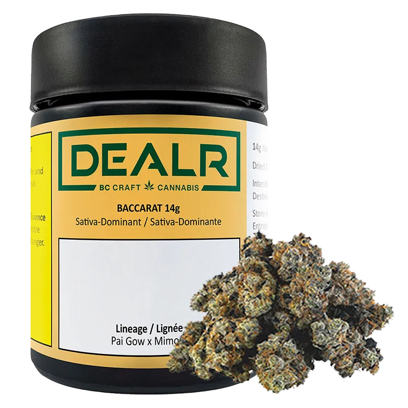 Dealr 14 g Baccarat Flower