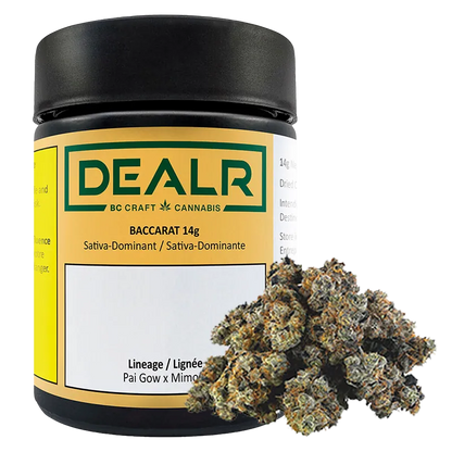 Dealr 14 g Baccarat Flower