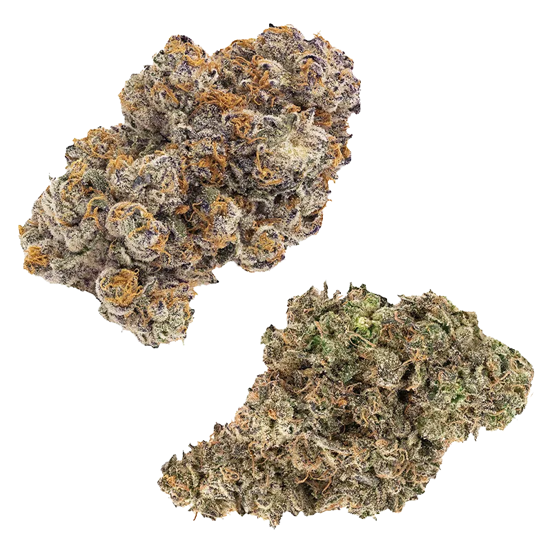 FIGR 28 g Jungle Fumes & Kandy Cake Flower