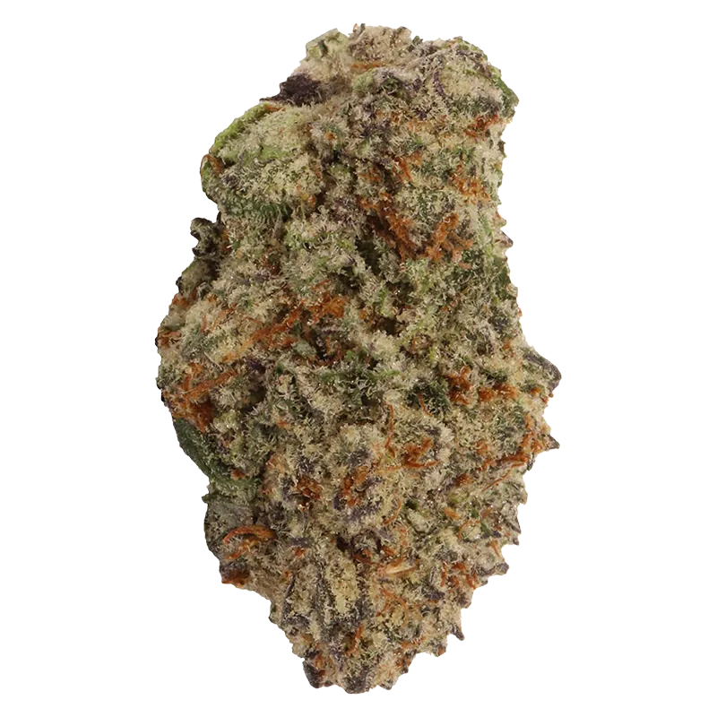 Carmel 7 g Sugar Factory Flower