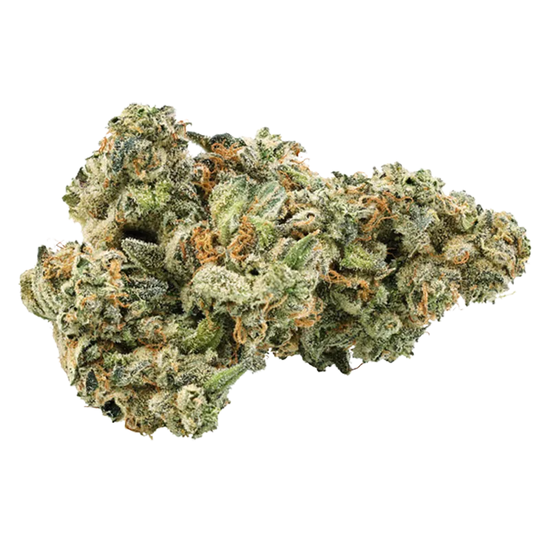 Trailblazer 14 g Ultra Bubbles Flower