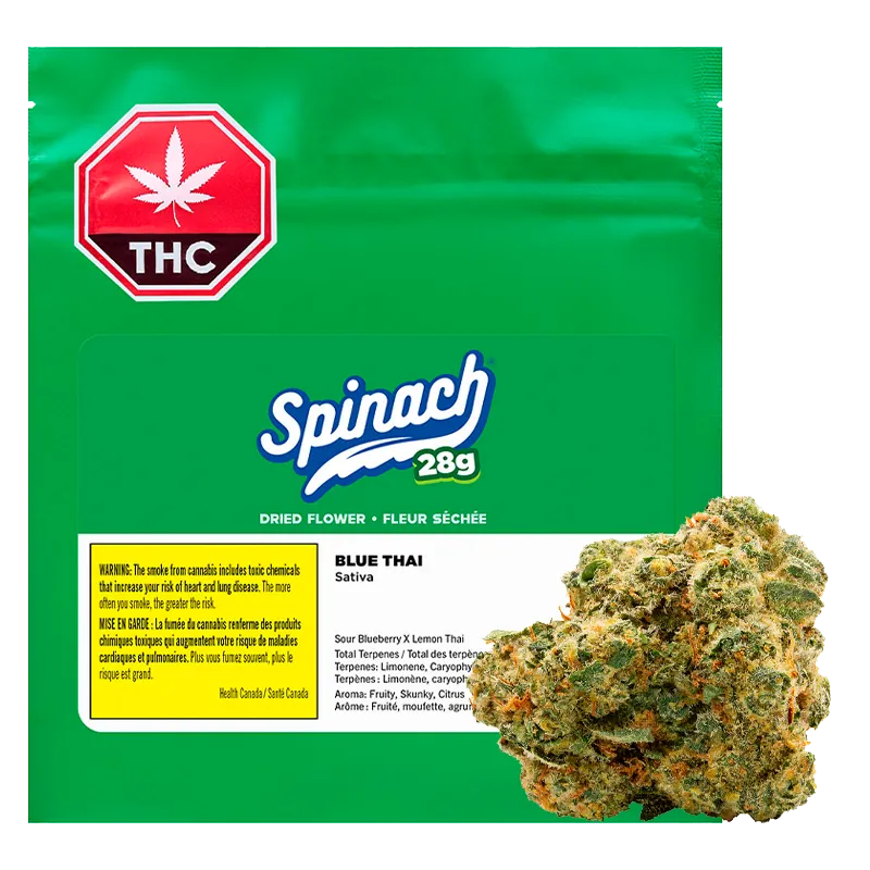 Spinach 28 g Blue Thai #2 Flower