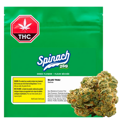 Spinach 28 g Blue Thai #2 Flower