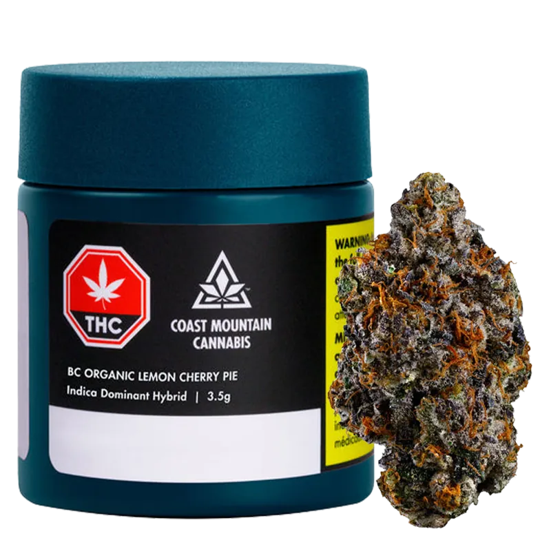 Coast Mountain Cannabis 3.5 g BC Organic Lemon Cherry Pie Flower