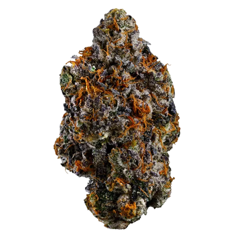 Coast Mountain Cannabis 3.5 g BC Organic Lemon Cherry Pie Flower
