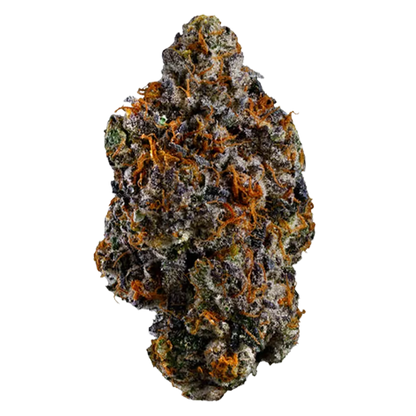 Coast Mountain Cannabis 3.5 g BC Organic Lemon Cherry Pie Flower