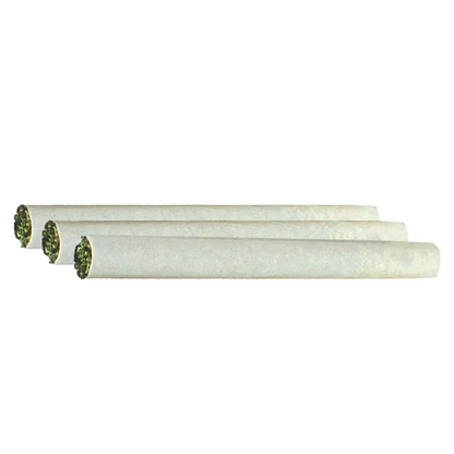 Island Genetics 1.5 g AK Pie PR 3 x 0.5 g Pre-Rolls