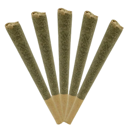 Triple Seven Grass Co. 2.5 g T.M.T Saturn Indica PR 5 x 0.5 g Pre-Rolls