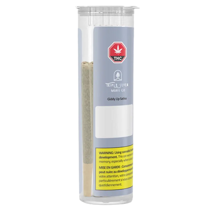 Triple Seven Grass Co. 2.5 g Giddy Up Sativa PR 5 x 0.5 g Pre-Rolls