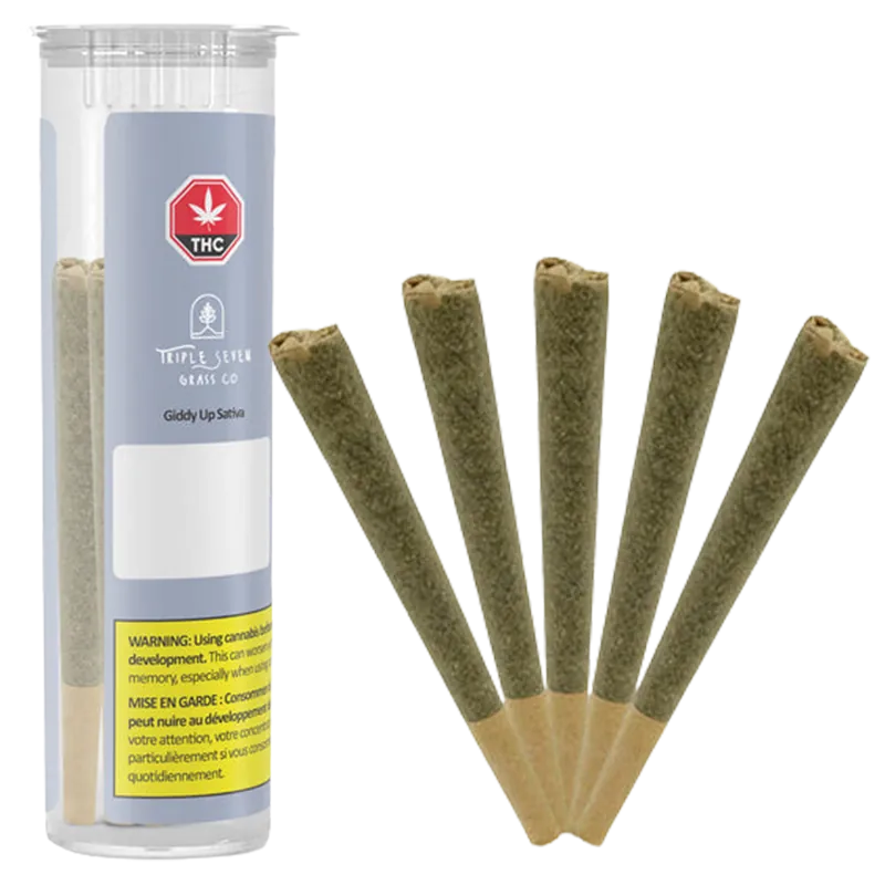 Triple Seven Grass Co. 2.5 g Giddy Up Sativa PR 5 x 0.5 g Pre-Rolls