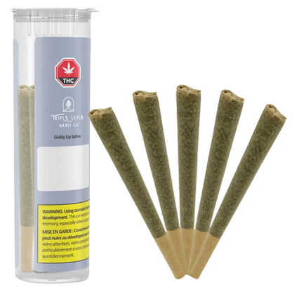 Triple Seven Grass Co. 2.5 g Giddy Up Sativa PR 5 x 0.5 g Pre-Rolls