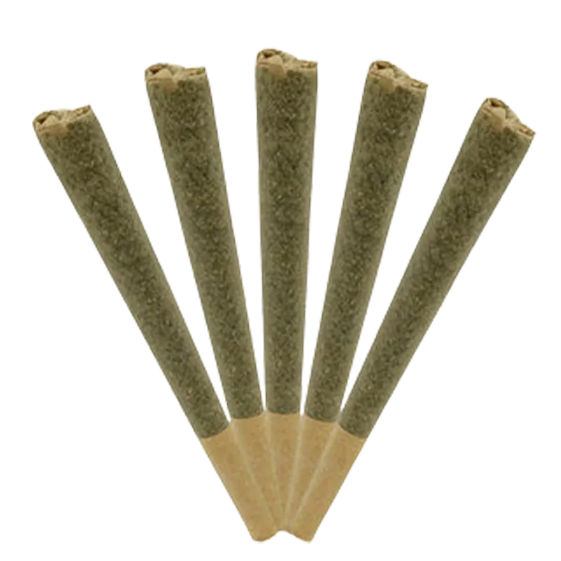Triple Seven Grass Co. 2.5 g Giddy Up Sativa PR 5 x 0.5 g Pre-Rolls