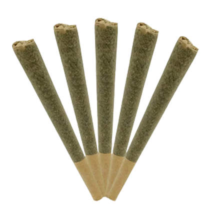 Triple Seven Grass Co. 2.5 g Giddy Up Sativa PR 5 x 0.5 g Pre-Rolls