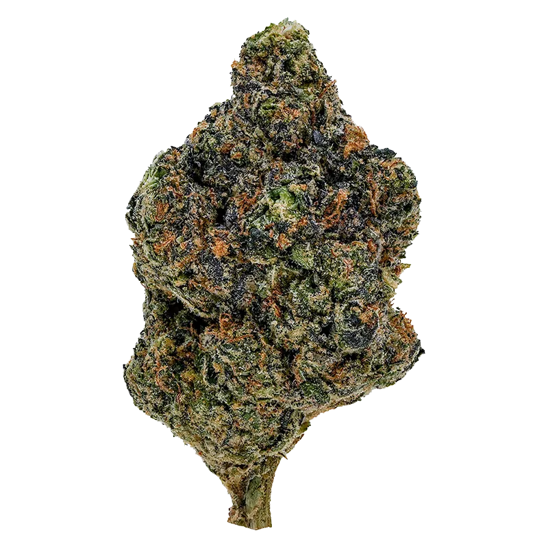 1964 7 g Gasolina Flower