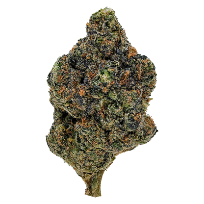 1964 7 g Gasolina Flower