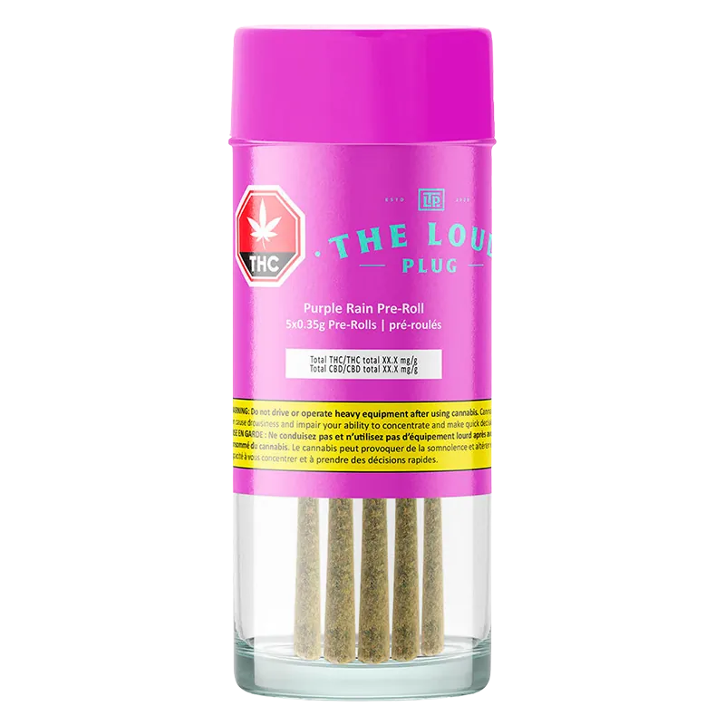 The Loud Plug 1.75 g Purple Rain PR 5 x 0.35g Pre-Rolls