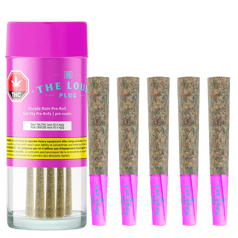 The Loud Plug 1.75 g Purple Rain PR 5 x 0.35g Pre-Rolls