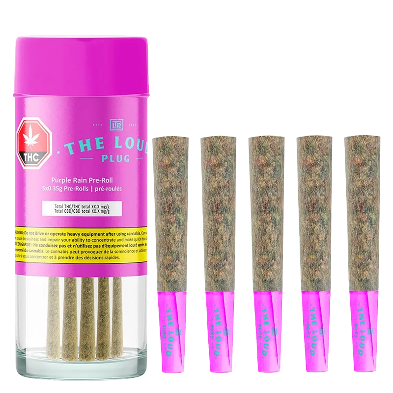 The Loud Plug 1.75 g Purple Rain PR 5 x 0.35g Pre-Rolls