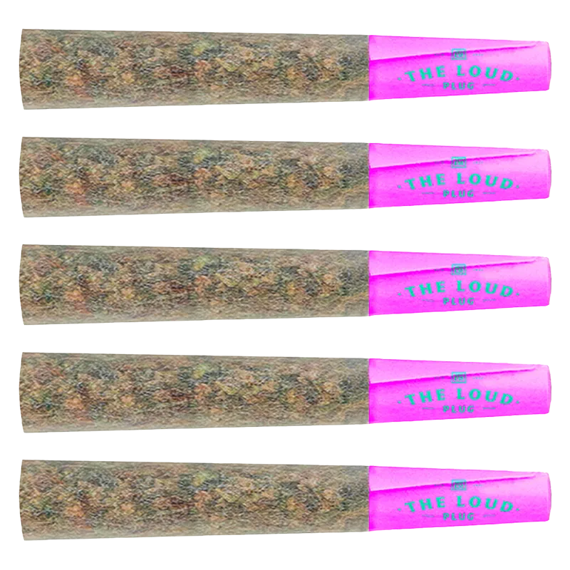 The Loud Plug 1.75 g Purple Rain PR 5 x 0.35g Pre-Rolls