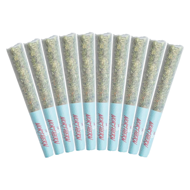 Northern Canna 5 g The Collective PR 10 x 0.5 g Pre-Rolls