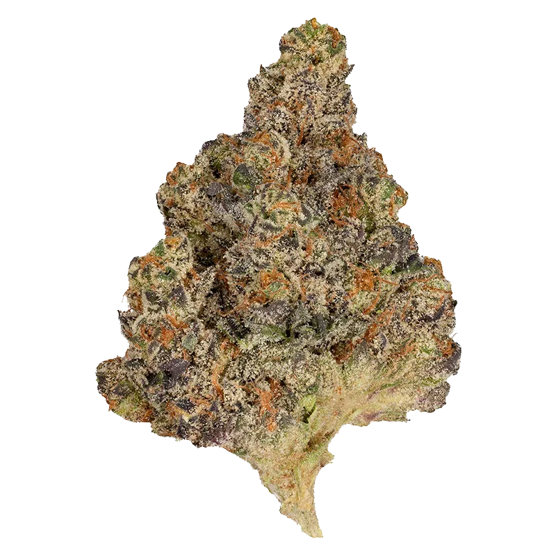 OMY! 7 g Part Time Flower