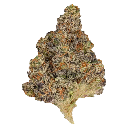 OMY! 7 g Part Time Flower