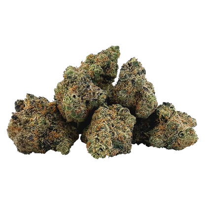BC 1/4 7 g America's Most Wanted Flower