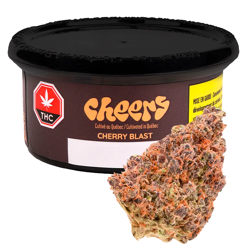 Cheers Cannabis 3.5 g Cherry Blast Flower