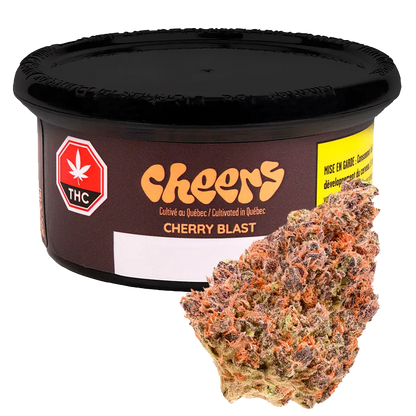 Cheers Cannabis 3.5 g Cherry Blast Flower