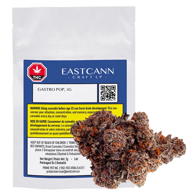 EastCann 1 g Gastro Pop Flower