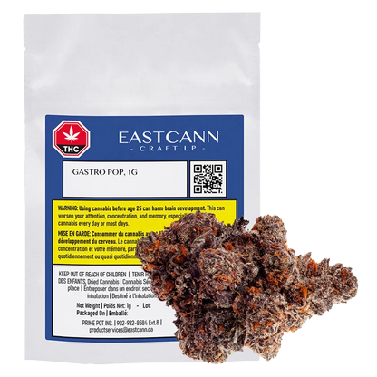 EastCann 1 g Gastro Pop Flower