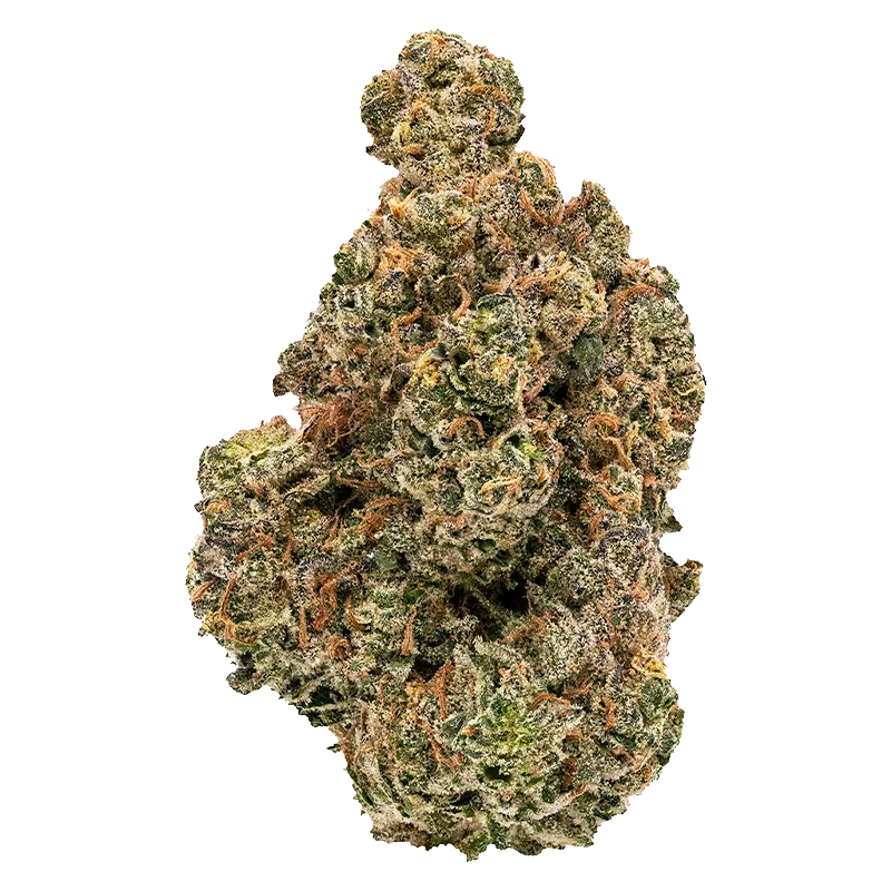 FIGR 3.5 g Golden Hour Flower