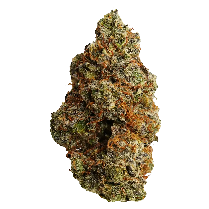 FLHIGH 7 g Johnny Cage Flower