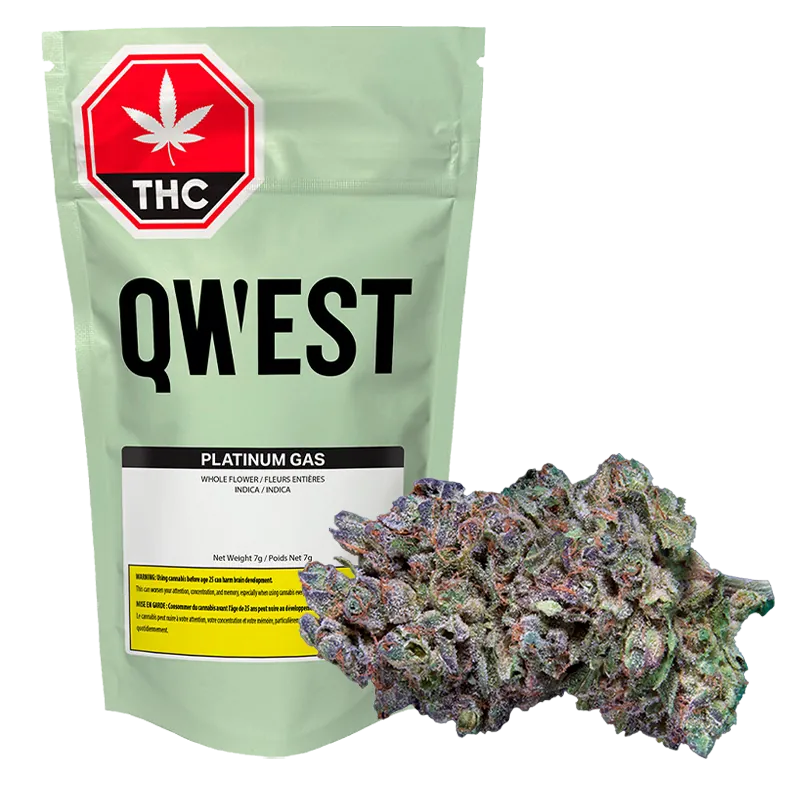 Qwest 7 g Platinum Gas Craft Flower