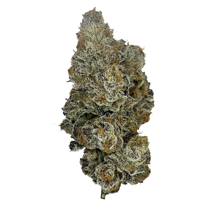 The Kitchen 3.5 g Kadillac Rainbow Flower