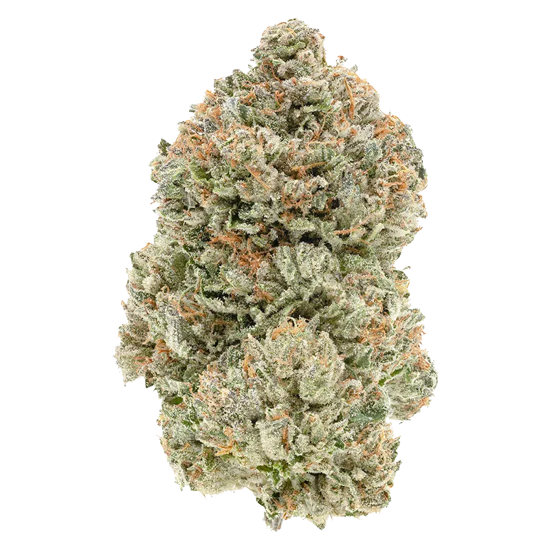 1964 1 g Stinky Pinky Flower