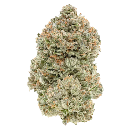 1964 1 g Stinky Pinky Flower