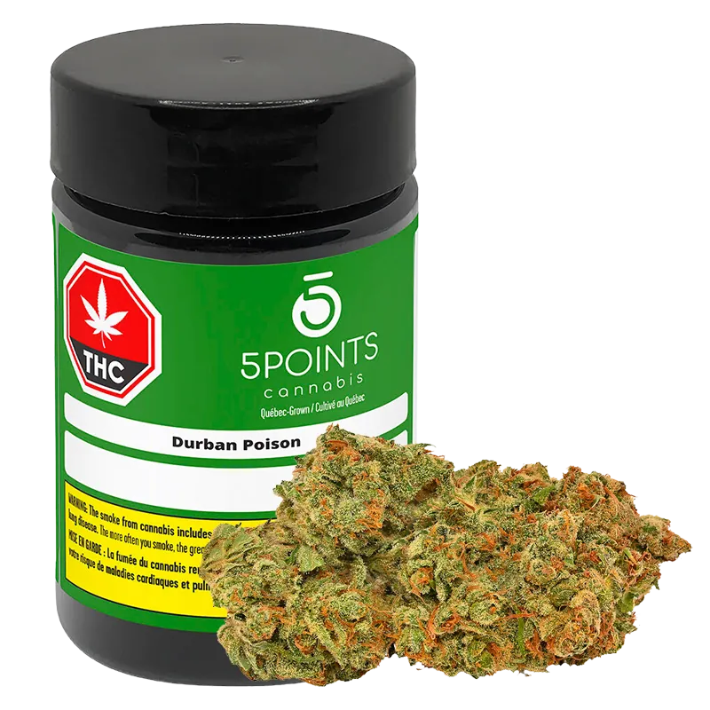 5 Points Cannabis 7 g Durban Poison Flower