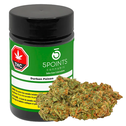 5 Points Cannabis 7 g Durban Poison Flower