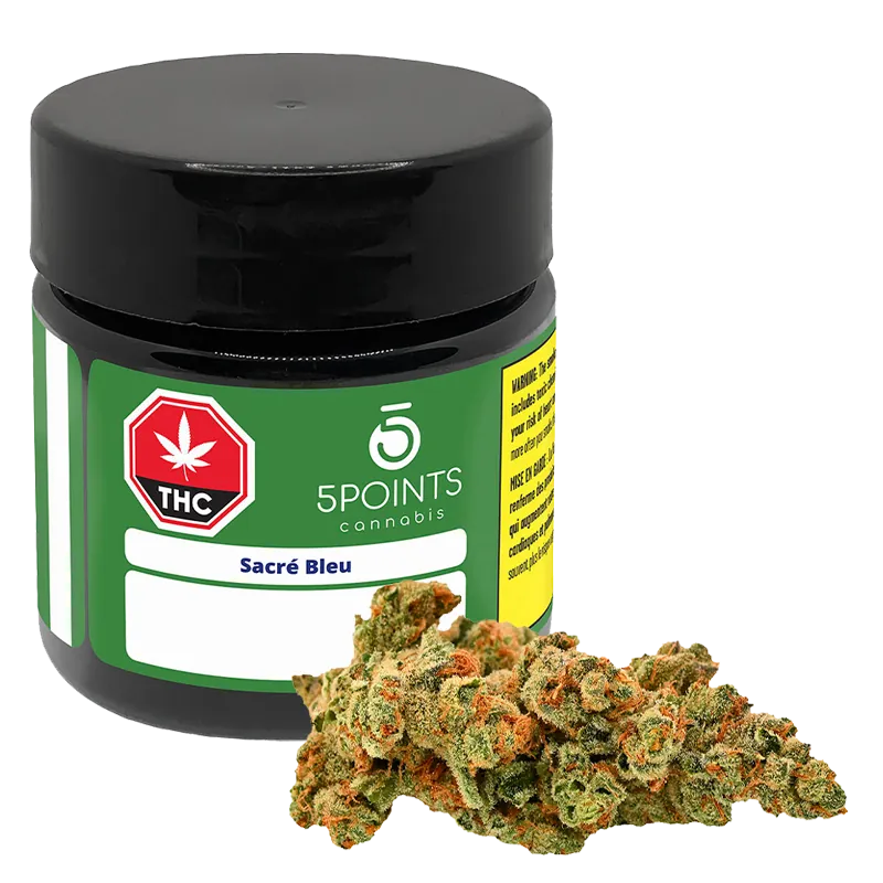 5 Points Cannabis 3.5 g Sacré Bleu Flower