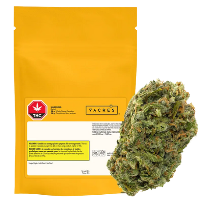 7ACRES 28 g Silver Diesel Flower